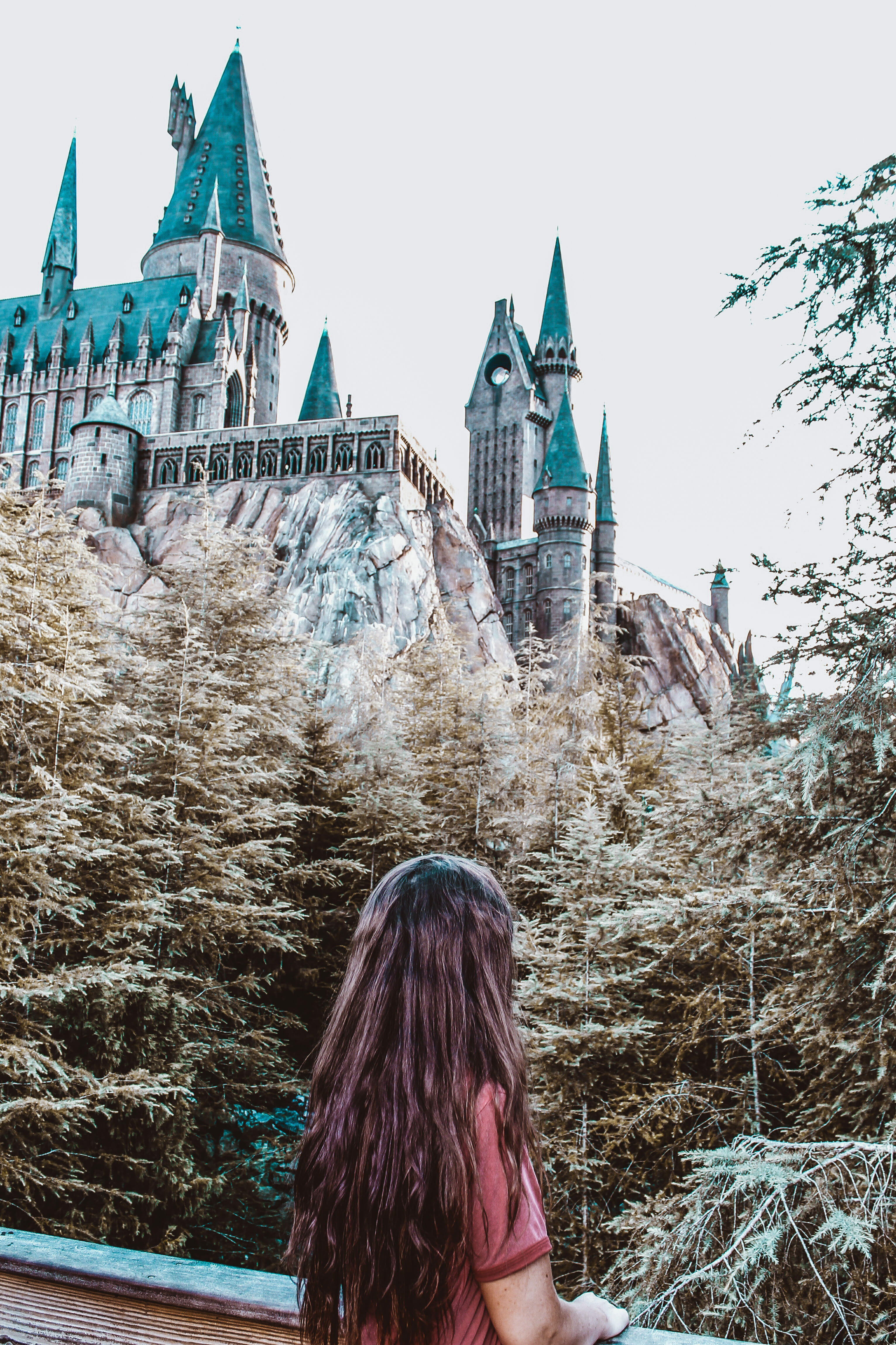 9 remarkable photos of the Wizarding World after hours  Harry potter  world, Hogsmeade village, Harry potter facts