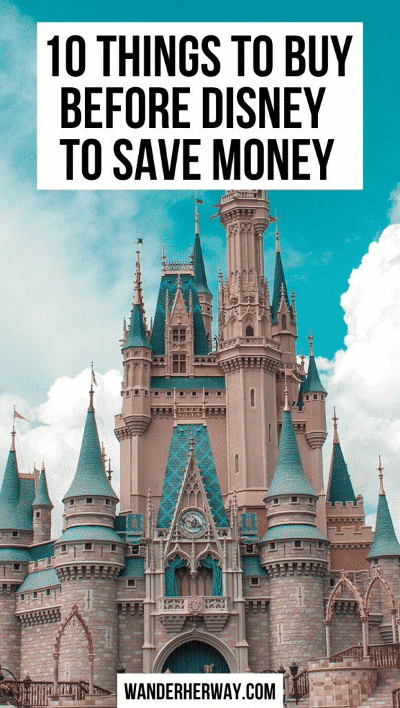 10 Things to Buy Before Disney World to Save Money