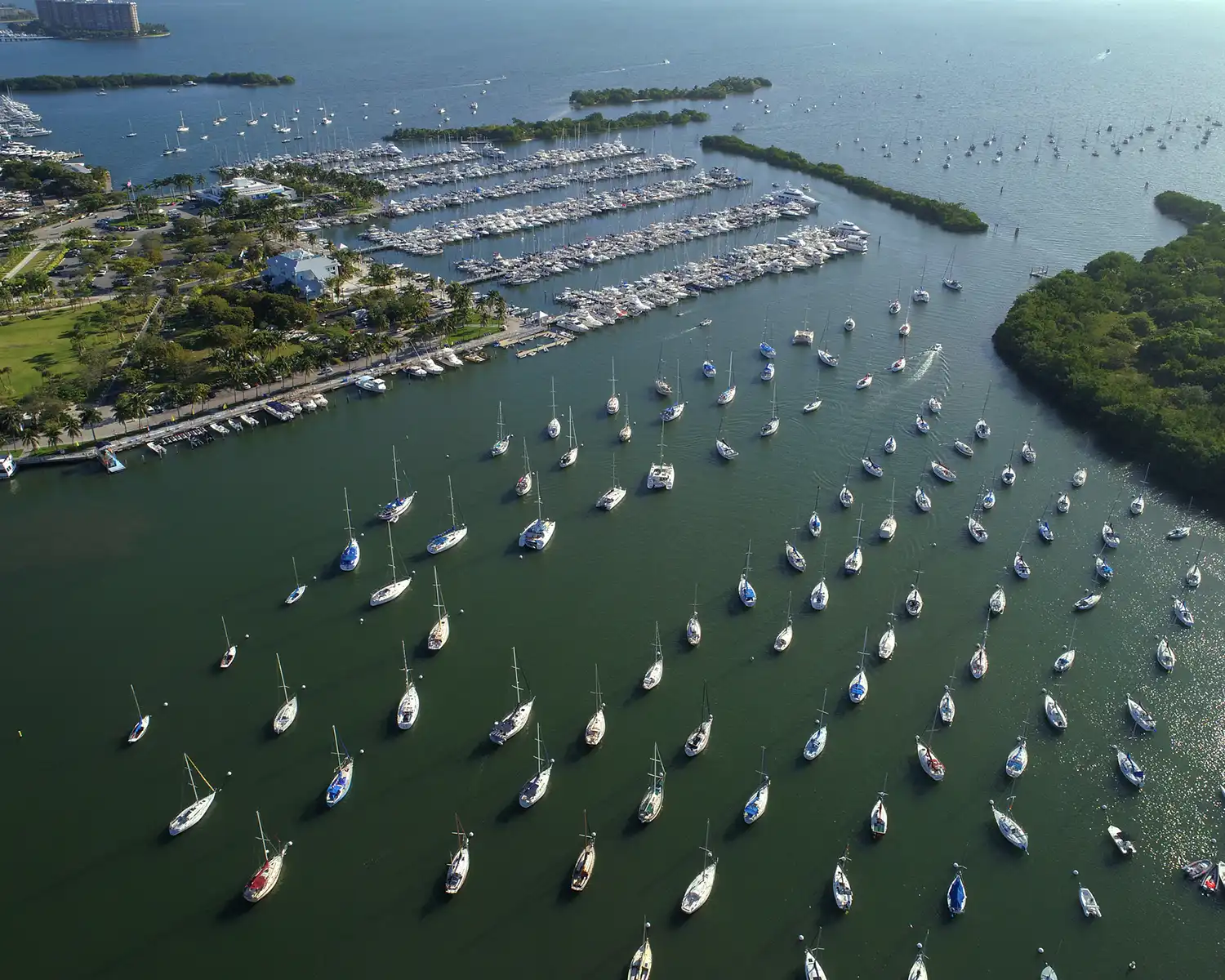 reasons to stay in Coconut Grove